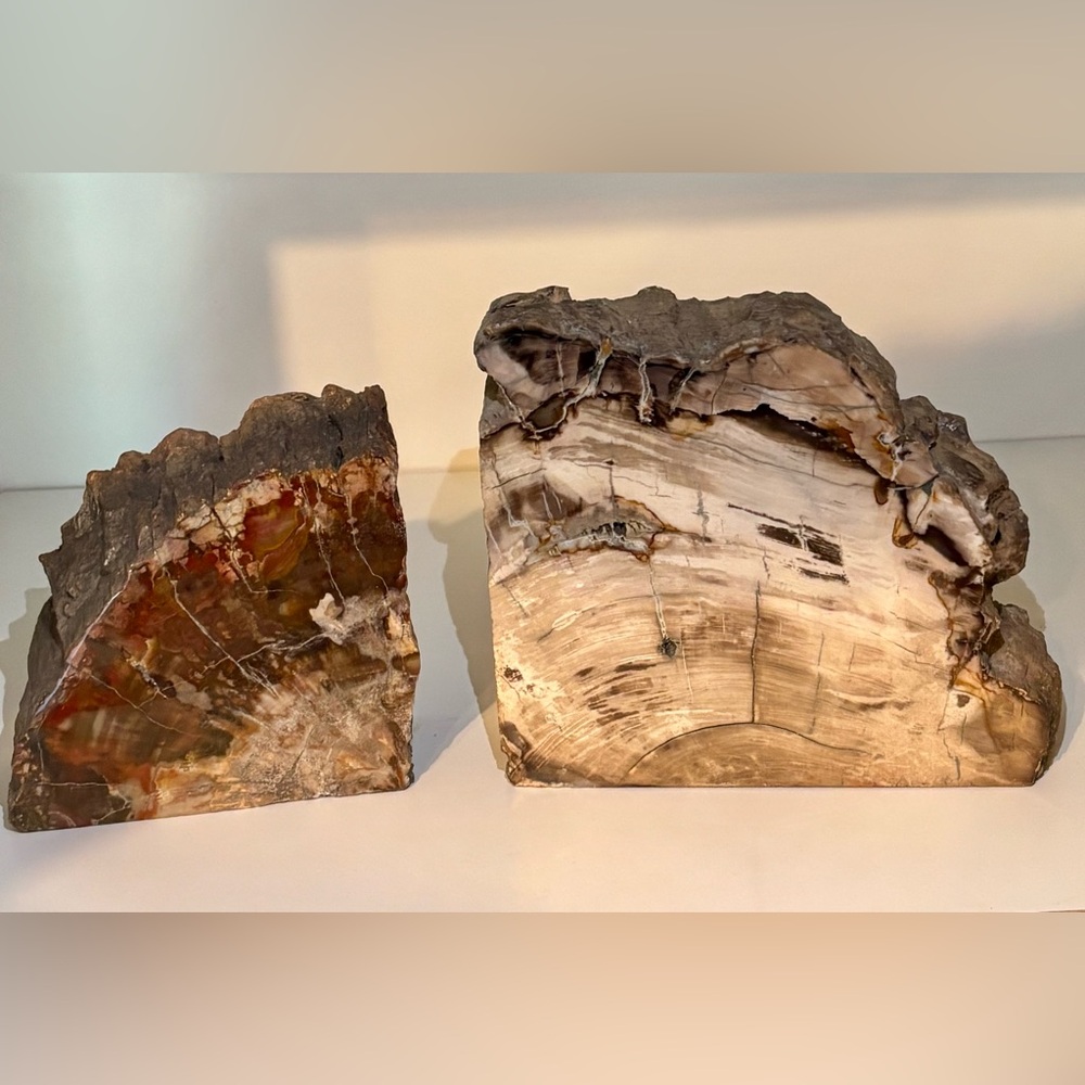 Large Petrified Wood Bookends – Natural Fossilized Wood Pair